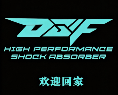 DSFracing避震系统荣耀上架，诚邀车友共启驾驭新篇章